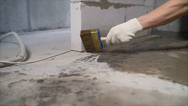 24/7 Emergency Basement Waterproofing experts in Garden City, MI